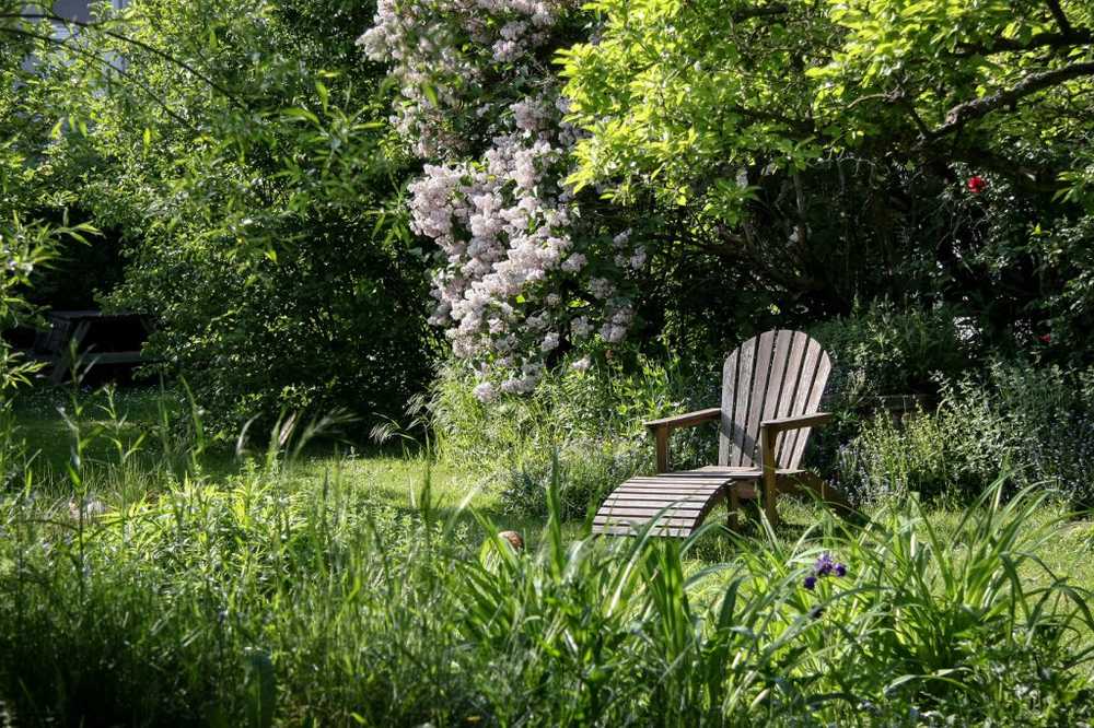 Aides thérapeutiques La forêt peut guérir les gens / Nouvelles sur la santé