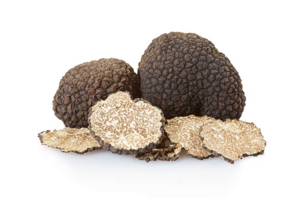 To breed truffles? It works! / Health News