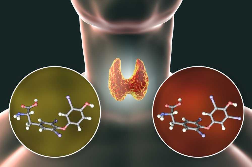 Hidden fatteners These chemicals drastically affect our metabolism / Health News