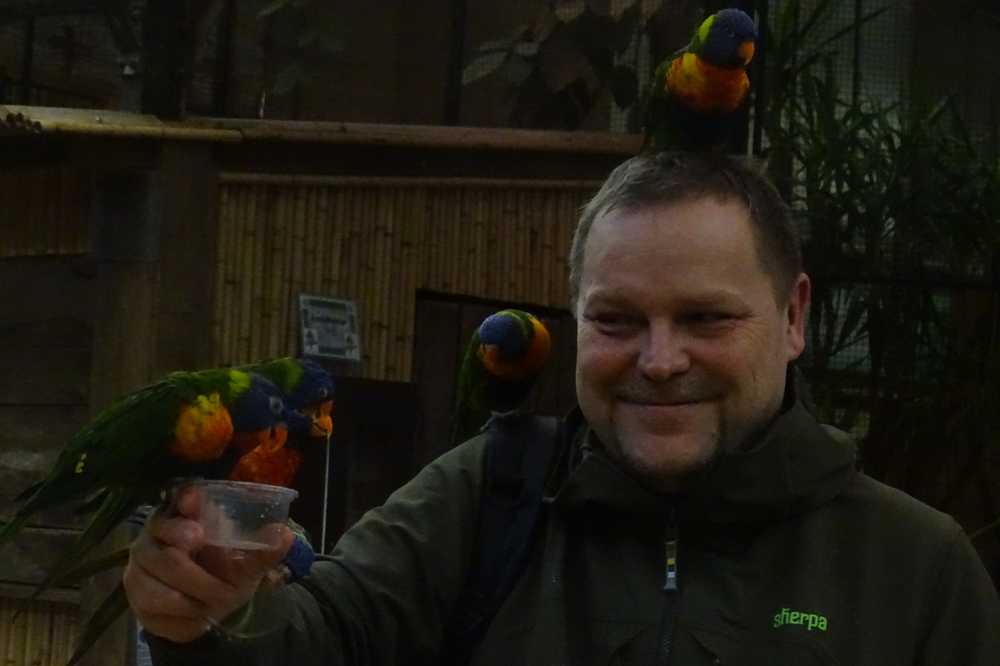 Vogelgriep stopt - Flamingo's zien de zon weer / Gezondheid nieuws