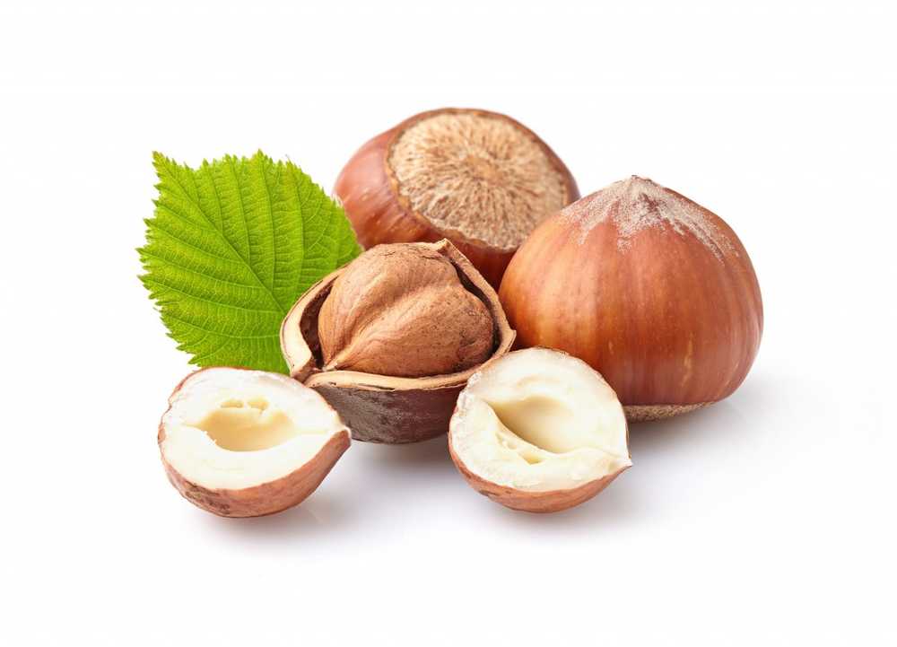 Valuable protection against diseases Hazelnuts are a perfect source of vitamin E / Health News