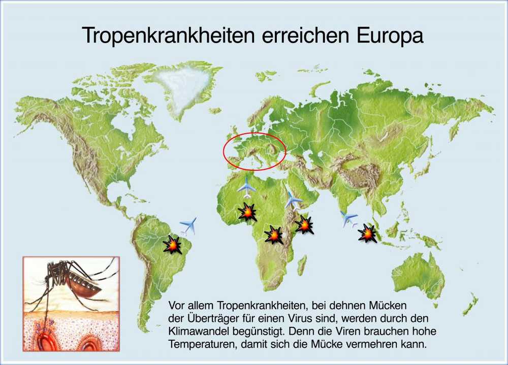 WHO advarer mot større malaria retur / Helse Nyheter