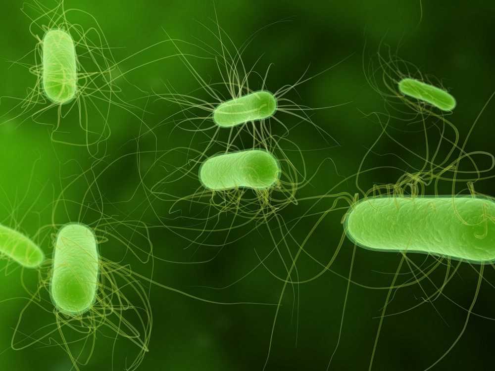 WHO number of multidrug-resistant germs is rising menacingly / Health News