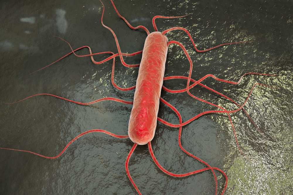 Ancora una volta un grande richiamo a Lidl Listeria in altri prodotti vegetali surgelati
