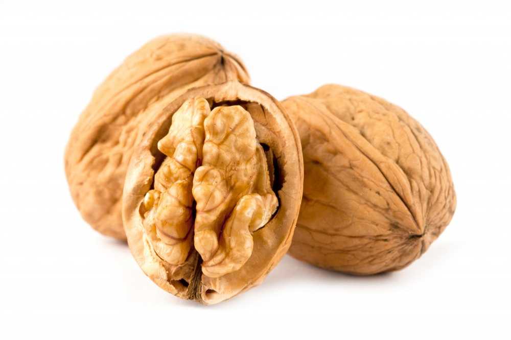 Effect in the brain How walnuts help to lose weight / Health News