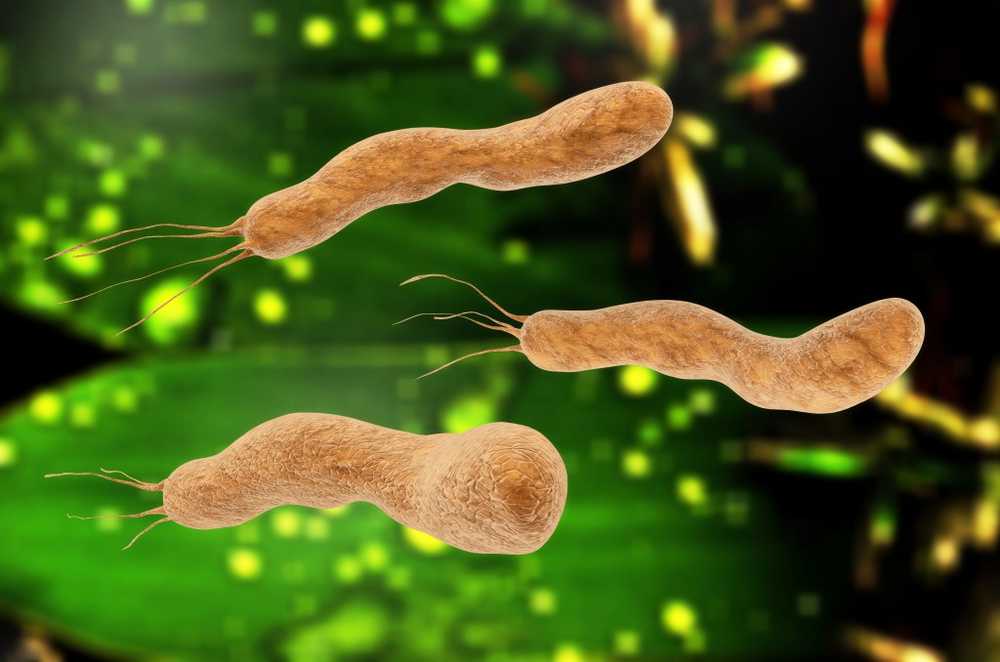 Scientists discover DNA robbery of bacteria