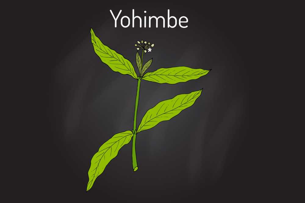 Yohimbe - efect și aplicare