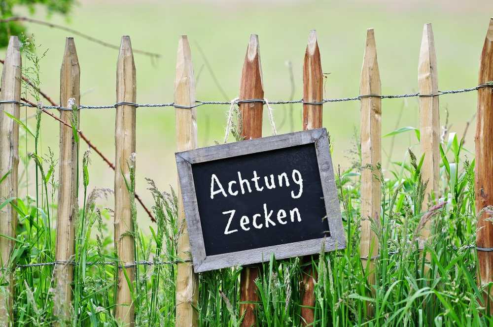 Aantal TBE-zaken bereikt nieuwe recordhoogtes