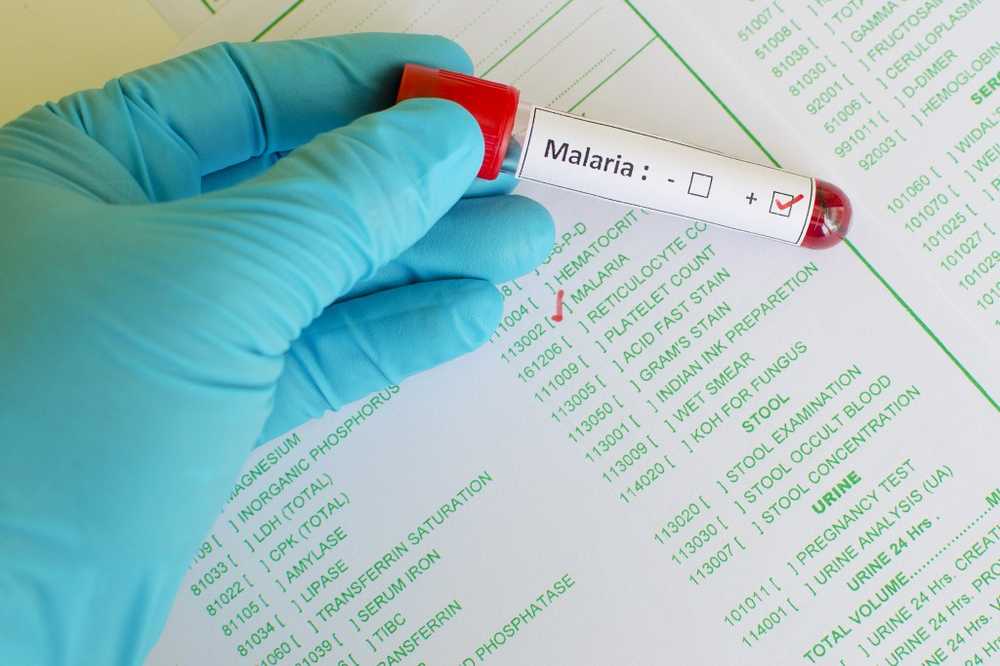 Twee medicijnen kunnen de overdracht van malaria voorkomen / Gezondheid nieuws