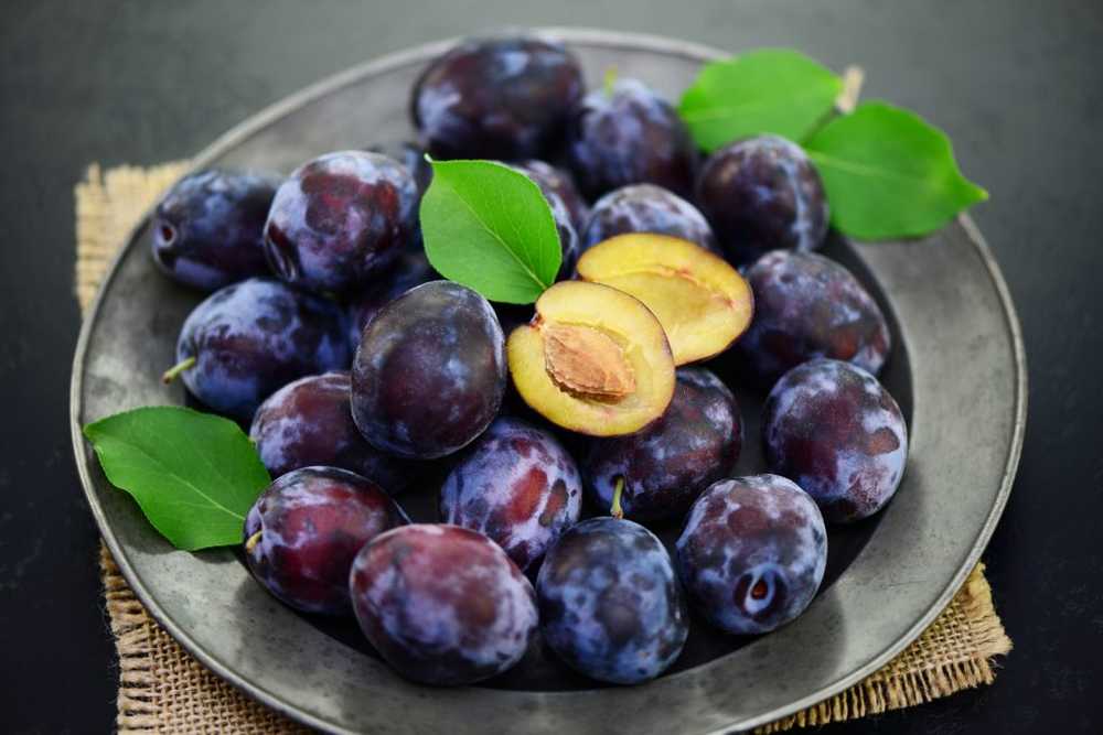 Prune ou prune? Cela garde les fruits frais