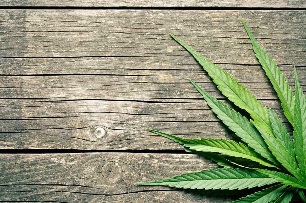 I farmacisti chiedono regole chiare per la cannabis medica / Notizie di salute