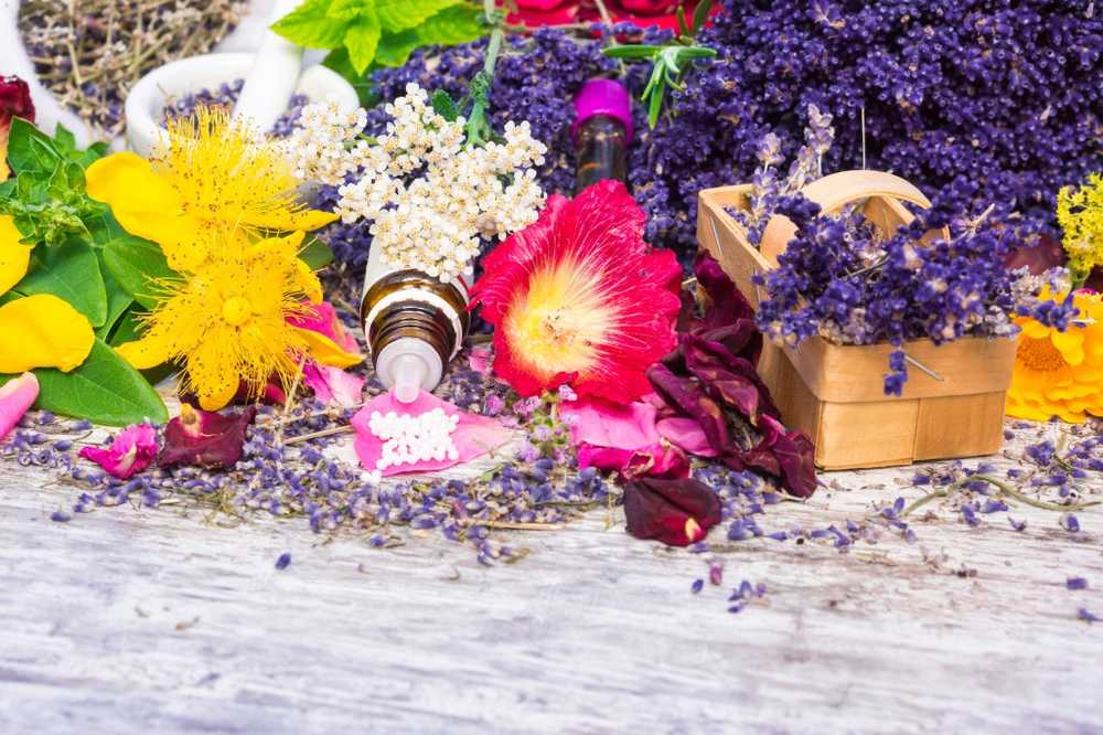 Bachbloemen in natuurlijke geneeskunde / Gezondheid nieuws