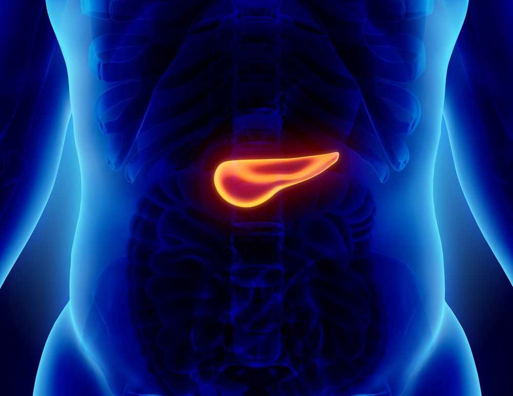 Bacteria can help diagnose pancreatic cancer / Health News