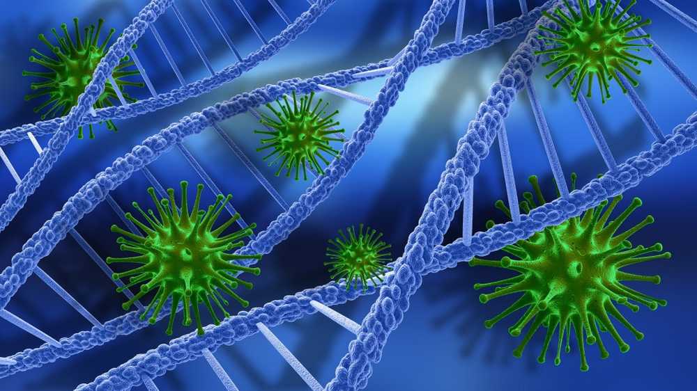 Druende virus dør fra herpes / Helse Nyheter