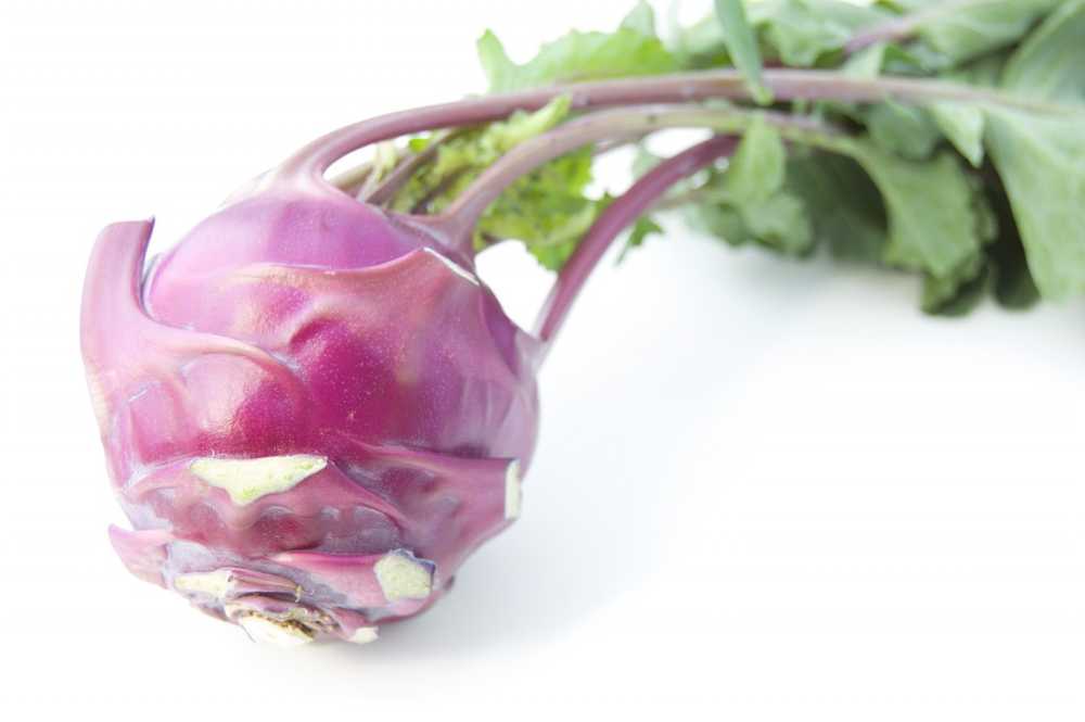 Mer enn 50 typer kohlrabis Violette varianter smaker vanligvis sterkere enn grønne / Helse Nyheter