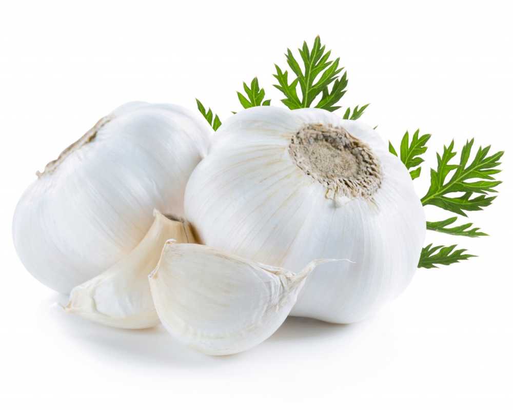 Lower blood lipid levels with garlic / Health News