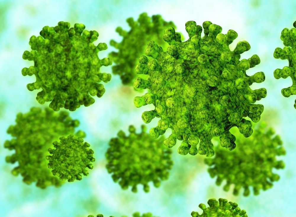 I conigli Bornavirus possono trasmettere virus mortali / Notizie di salute