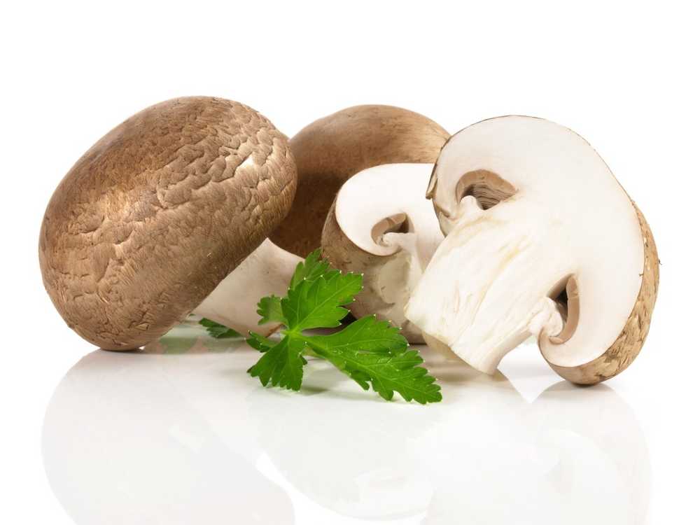 Brown mushrooms taste better / Health News