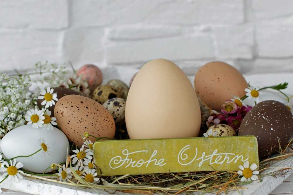 Cholesterol and pollutants Three eggs are okay at Easter / Health News