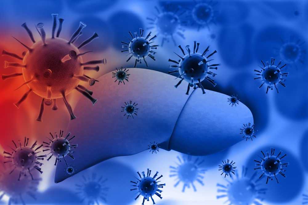 Chronic hepatitis C better treatable in the future / Health News