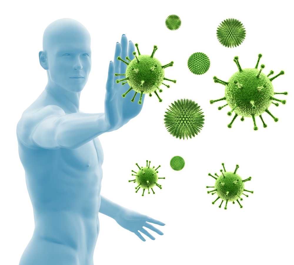 The human immune system changes with the seasons / Health News