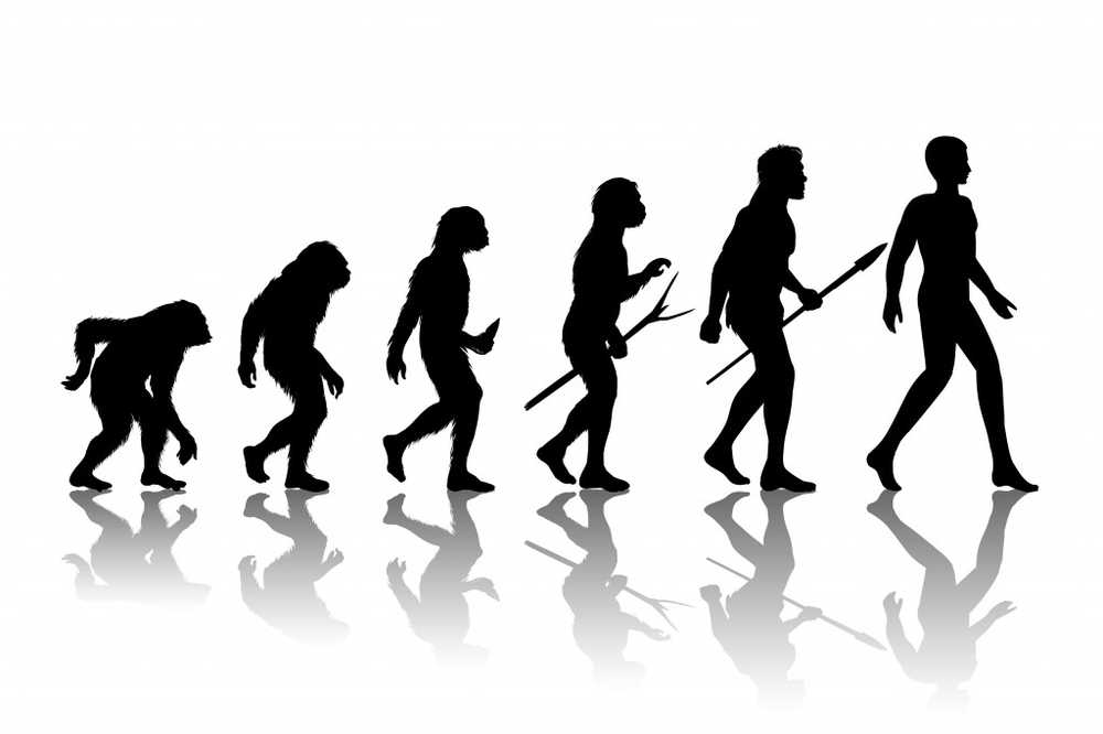 Depresjon, hjerteinfarkt og co Neanderthal gener kan være årsaken til alvorlige sykdommer / Helse Nyheter