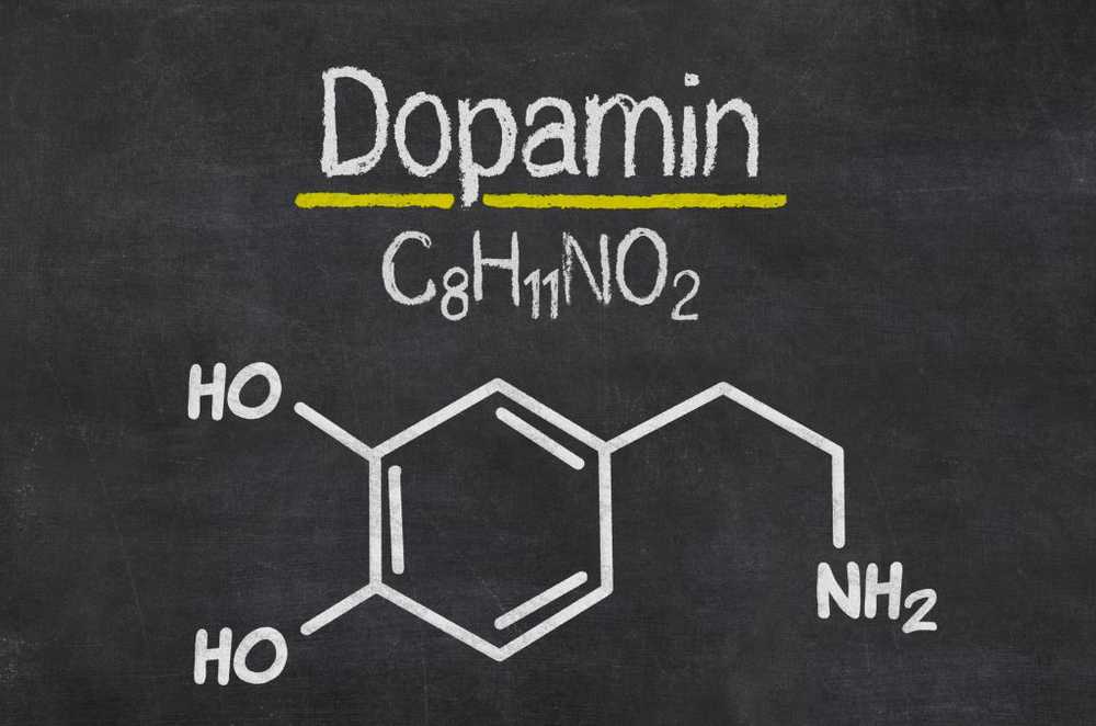 Dopamine is veel meer dan alleen de boodschapper van geluk / Gezondheid nieuws