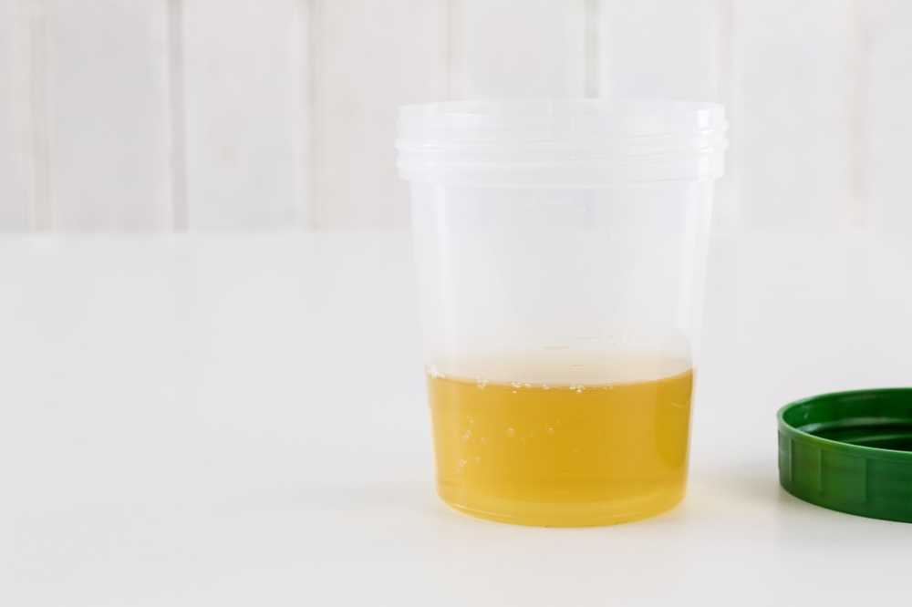 thérapie propre urine
