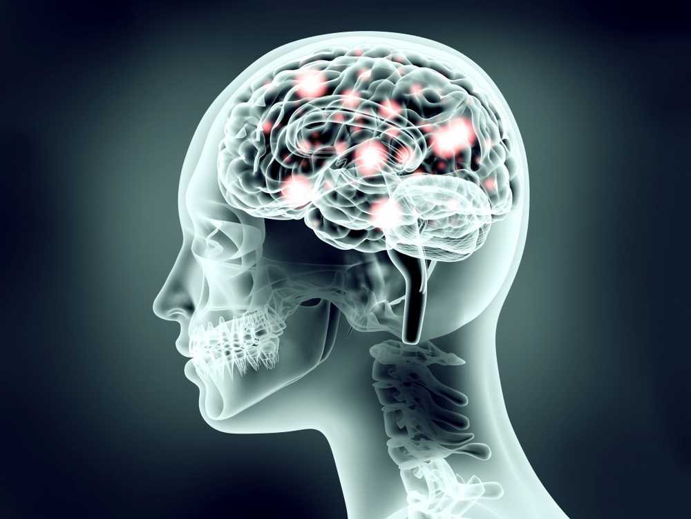 A big brain damages our health / Health News