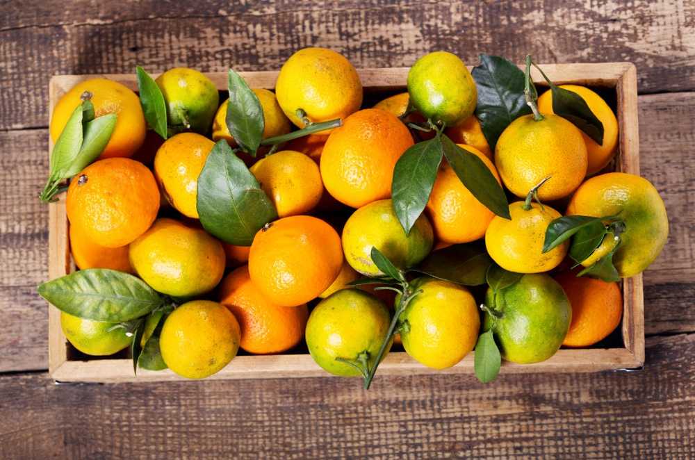 A tangerine covers about half of the daily requirement of vitamin C. / Health News