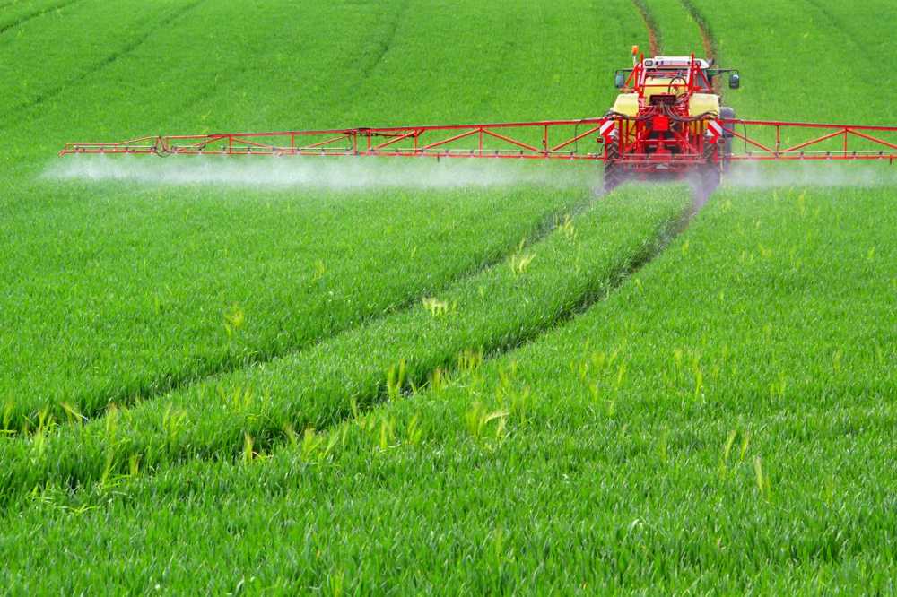 Beslissing over Glyphosate Pesticide Niet carcinogeen? / Gezondheid nieuws