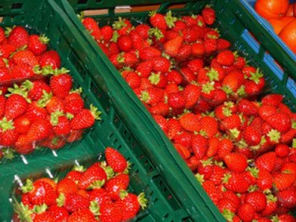 Strawberry time Délicieux gâteau crumble aux fraises / Nouvelles sur la santé