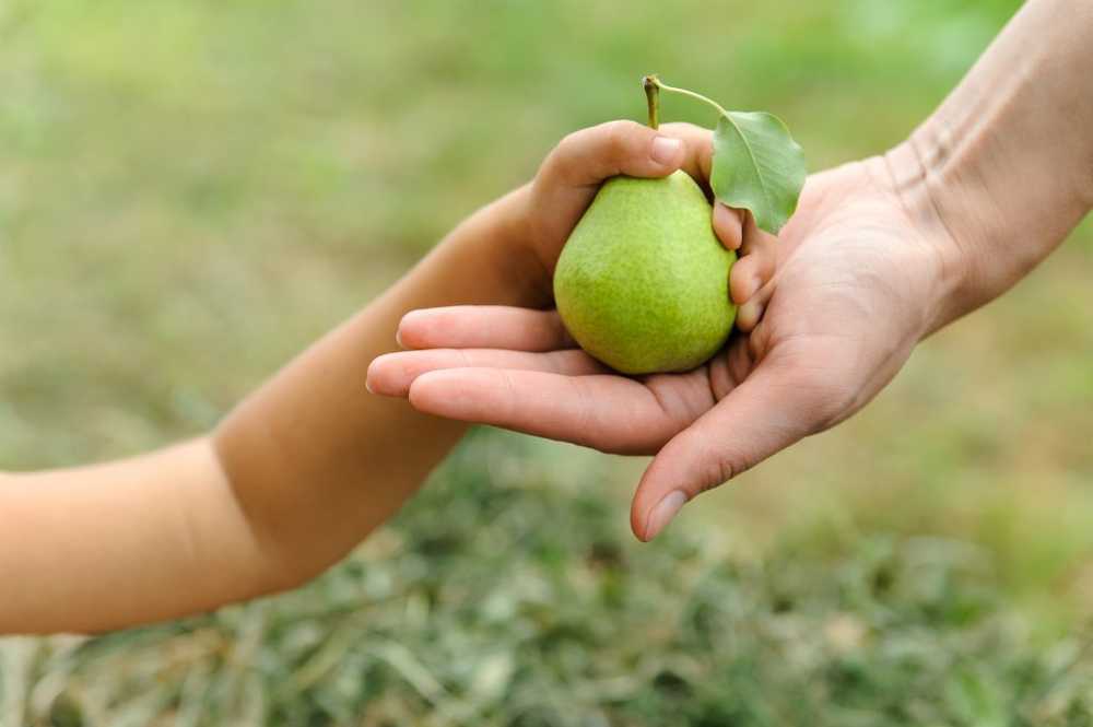 Nutrition Combien les enfants sont-ils autorisés à manger? Utilisez la main de l'enfant pour le portionnement / Nouvelles sur la santé