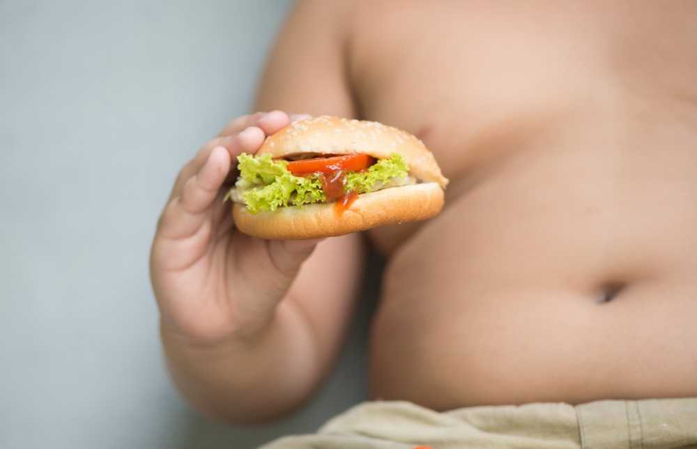 Fast Food and Co Modern diet favors obesity / Health News