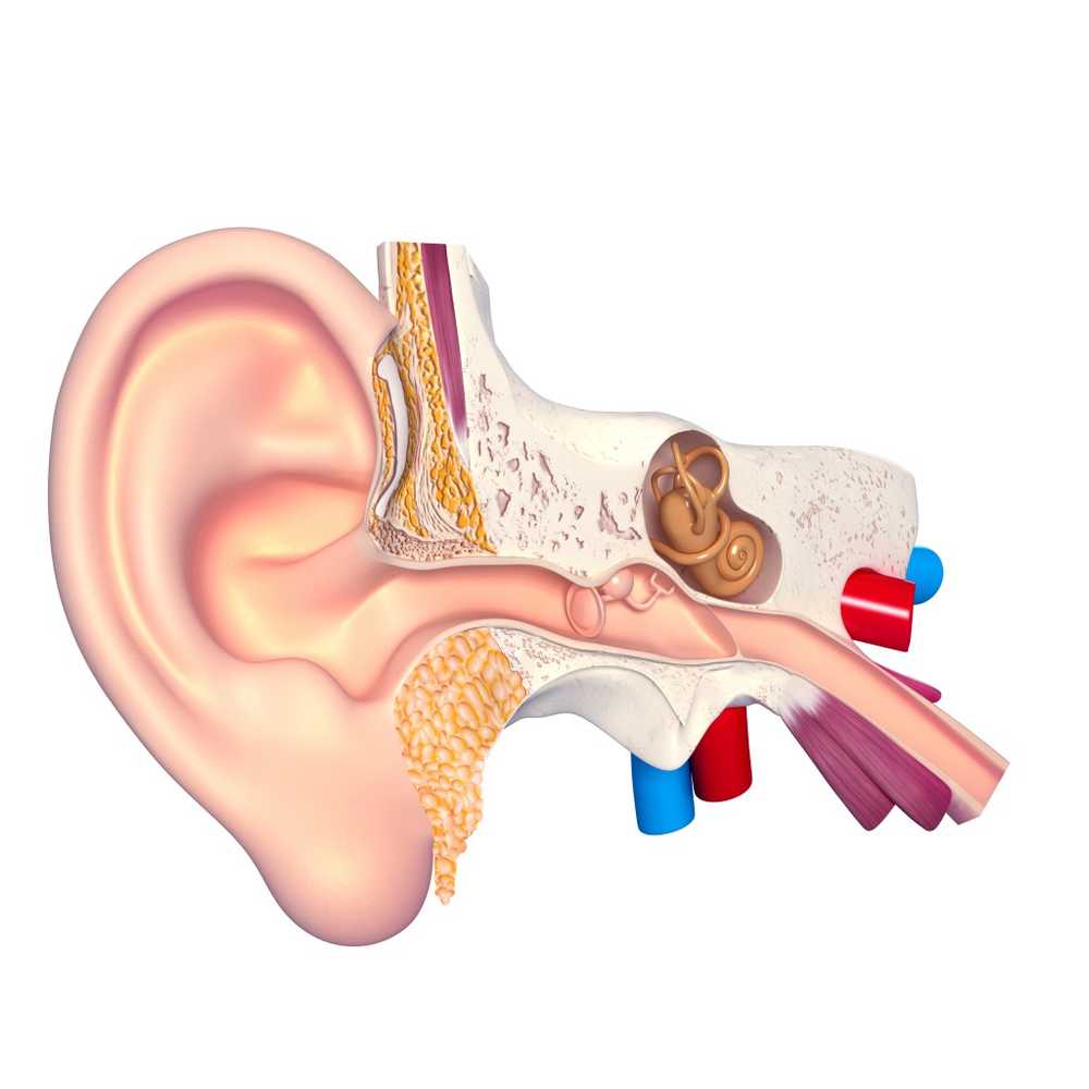 Fluid in the ear / symptoms