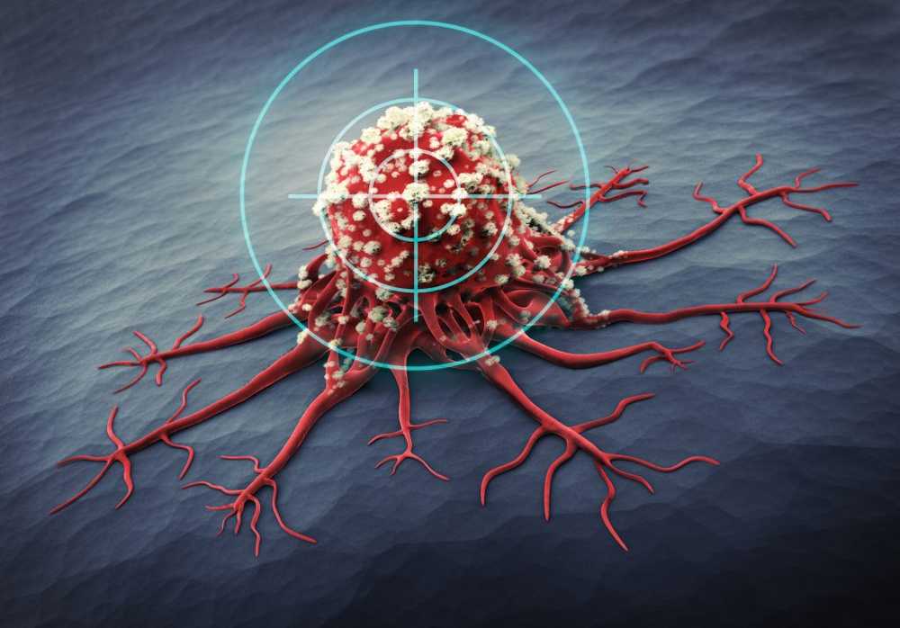 Researchers have activated natural killer cells in the fight against cancer