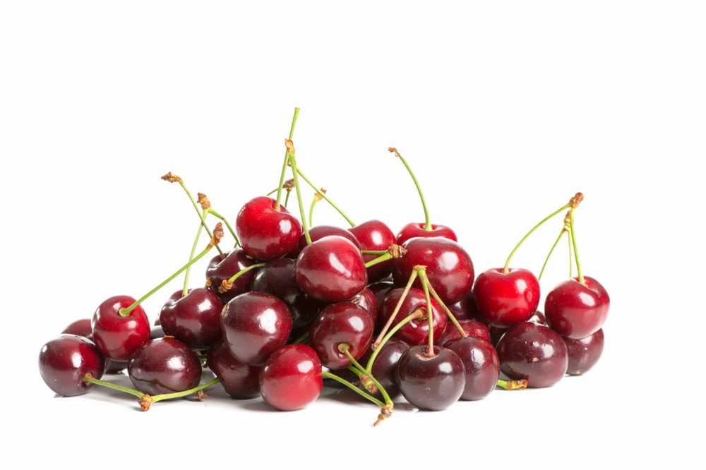 Fresh sweet cherries must have a stalk / Health News