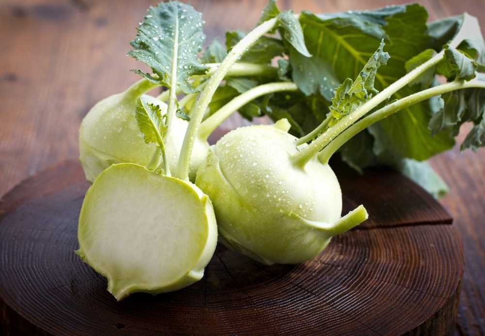 Verse koolrabi herkent bladeren zijn gezond en smakelijk / Gezondheid nieuws