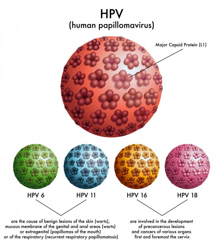 Cervical Cancer Only every second girl is vaccinated / Health News