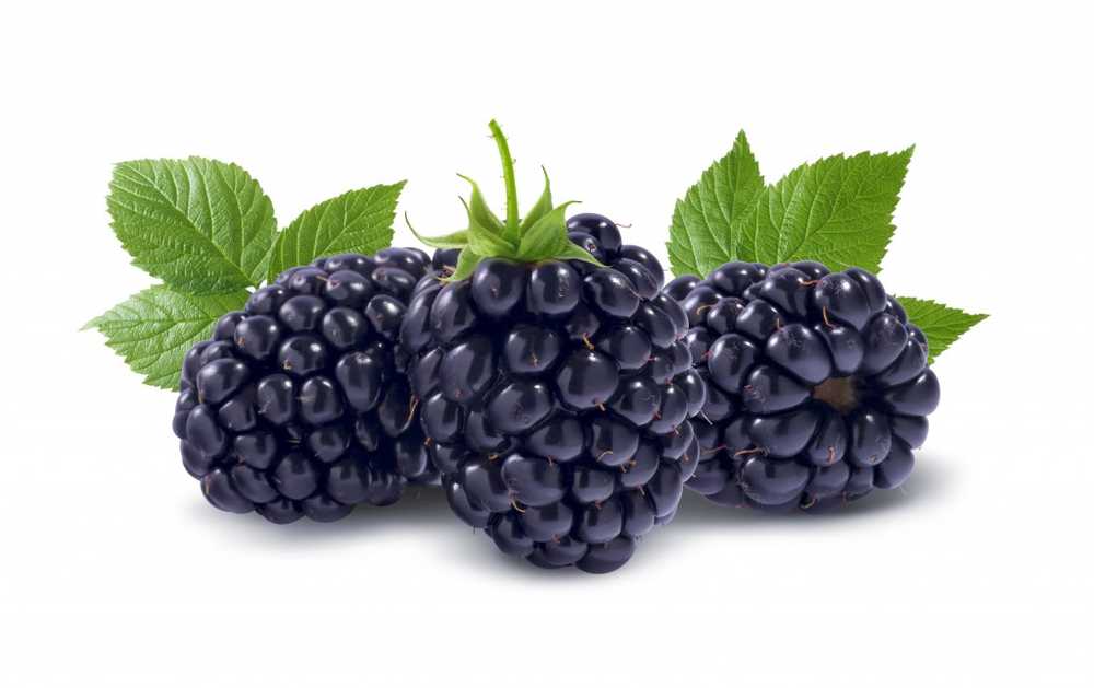 Healthy blackberry superfruits promote bones and nerves / Health News