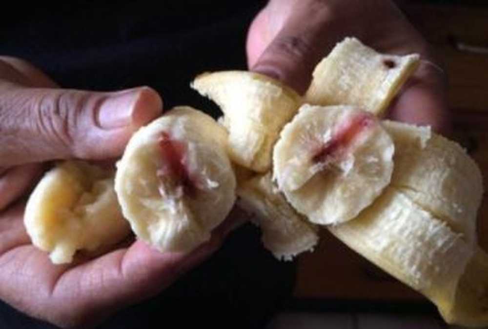 Divided blood banana photos HIV contaminated blood splatters in bananas? / Health News