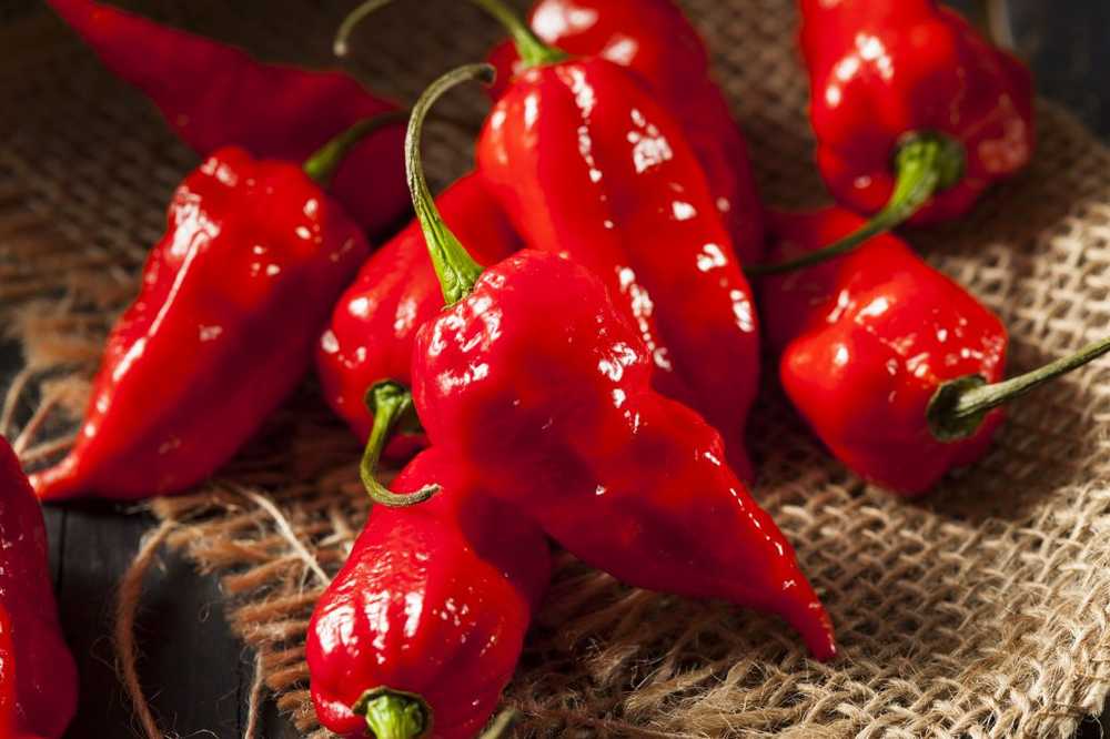 Ghost Pepper Consuming very spicy chilies caused esophageal perforation / Health News