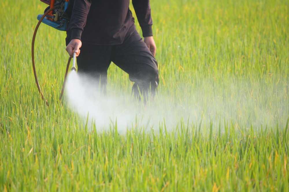 Toxic pesticides damage children's lungs as much as cigarette smoke / Health News