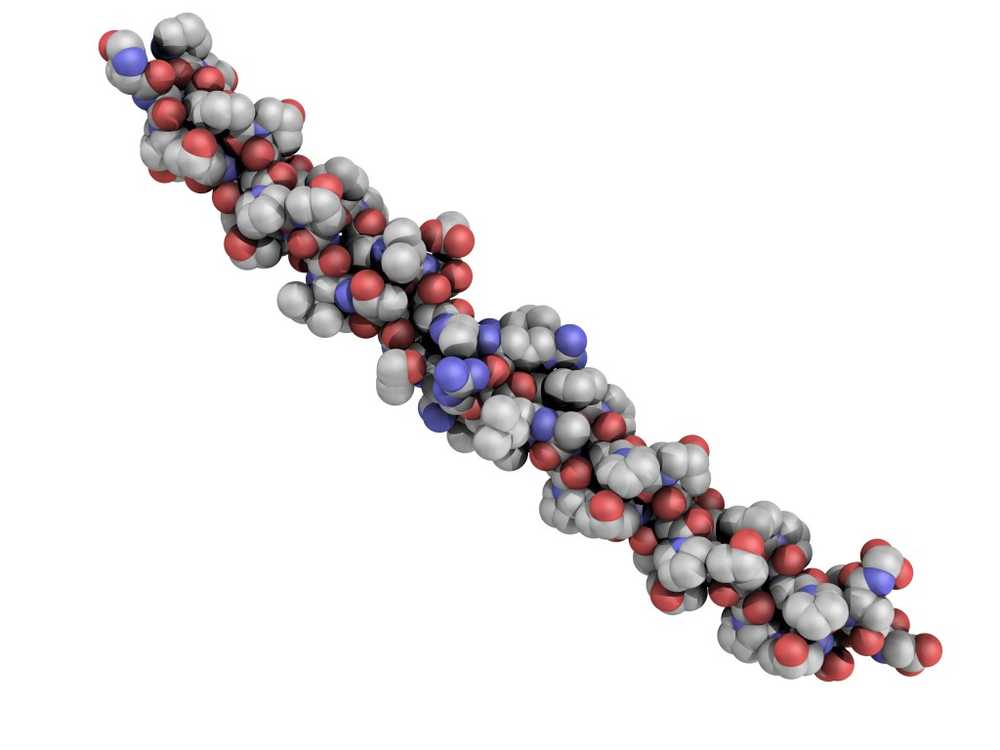 Malattia dell'osso di vetro Modifica del collagene decodificato / Notizie di salute