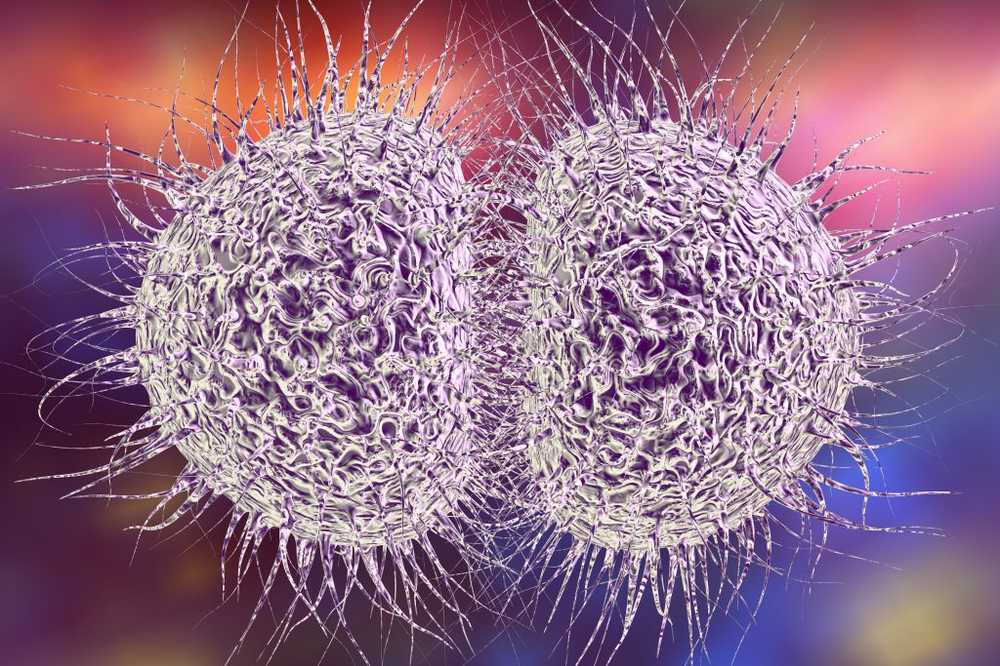 Gonorrhea pathogens with antibiotic resistance to dangerous levels / Health News