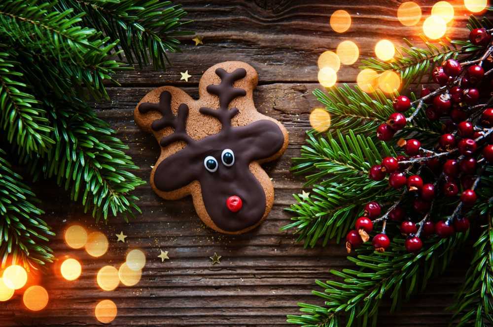 Good news Gingerbread contains less acrylamide / Health News