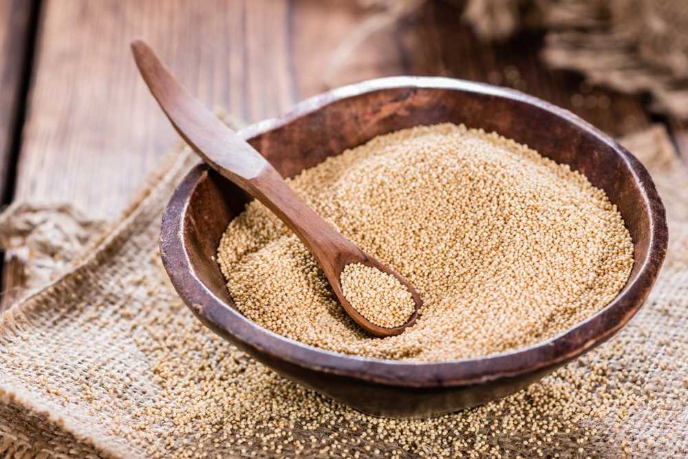 Holy Amaranth Le blé sain des Incas / Nouvelles sur la santé