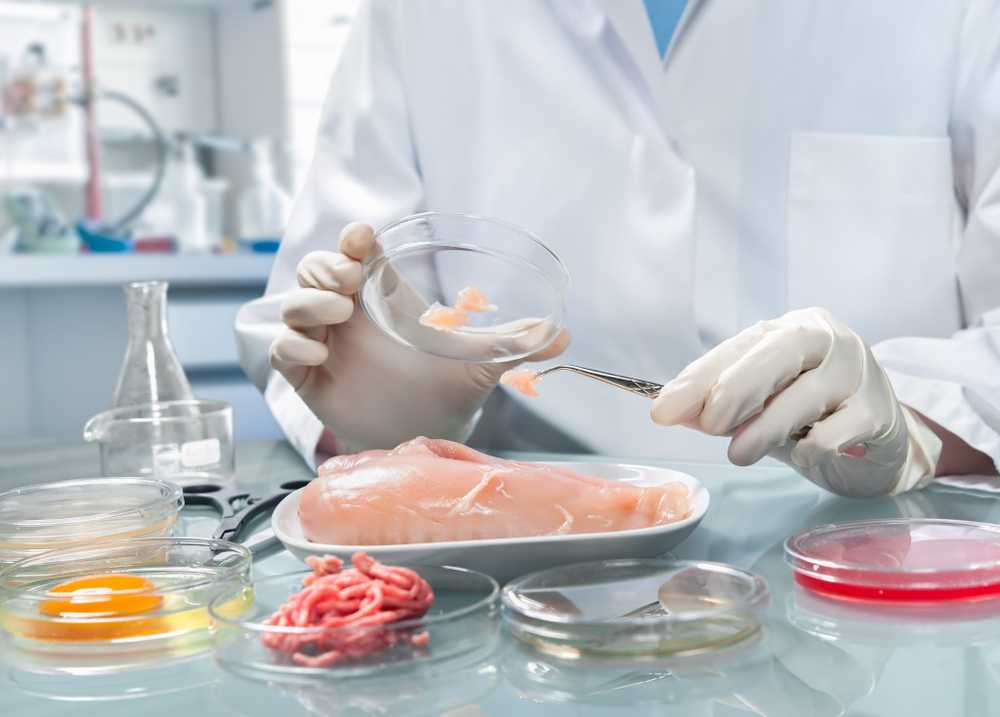 Chicken meat is often burdened with multidrug-resistant germs / Health News