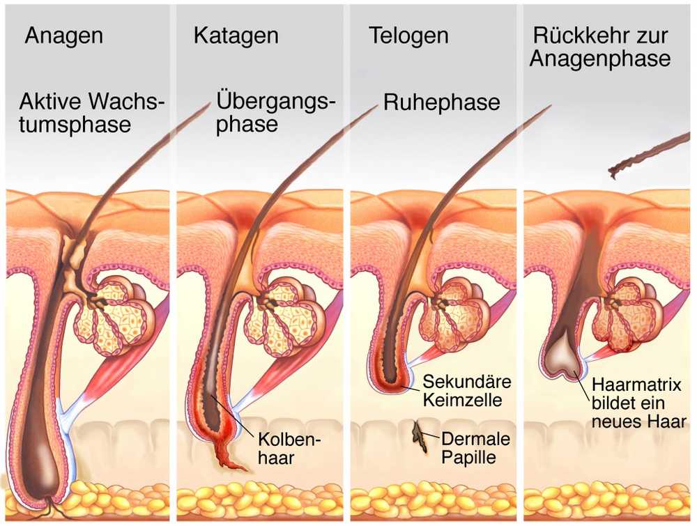 Ik hoop haar te blijven ondanks chemo / Gezondheid nieuws