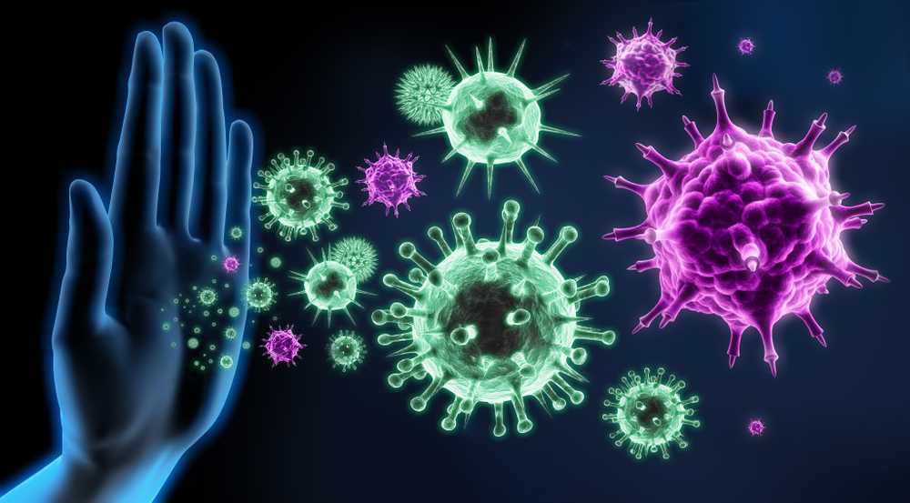 Réactions immunitaires Découverte d'une nouvelle voie de signalisation ayant une influence sur les processus inflammatoires / Nouvelles sur la santé